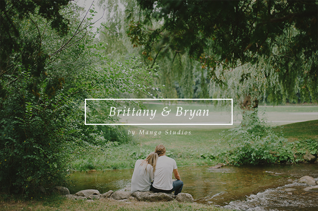 BrittanyandBryanBlogTitlepage