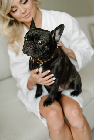 A bride and her French Bulldog on the morning of her wedding at Four Seasons Hotel Toronto